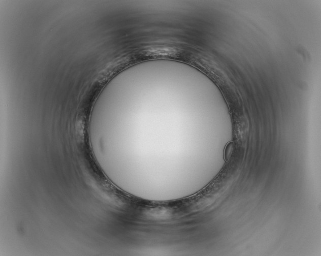 X0000112370551200909031933