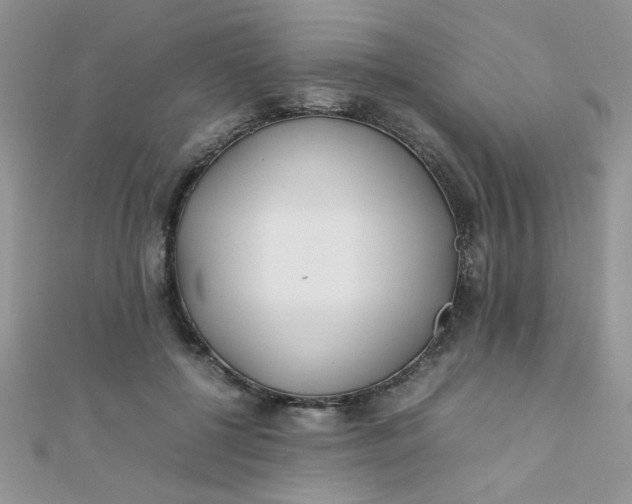 X0000112370552200909031933