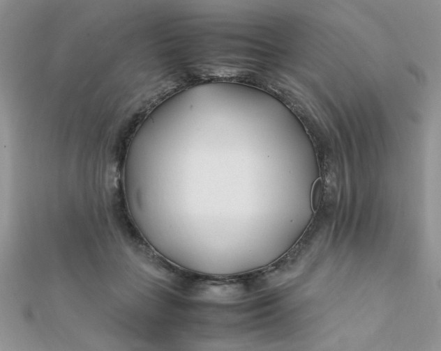 X0000112370555200909031933