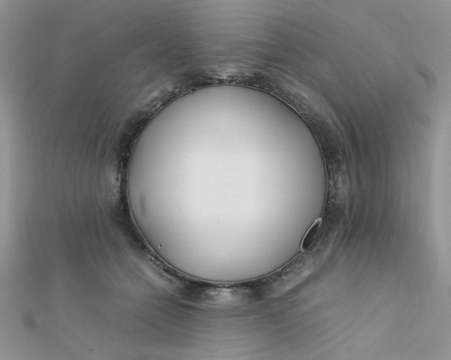 X0000112370558200909031933