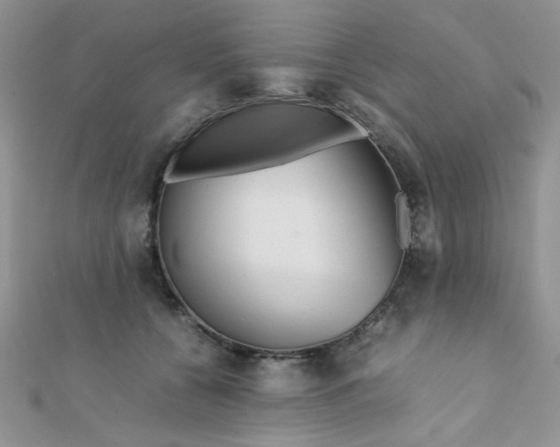 X0000112370560200909031933