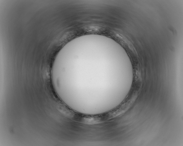 X0000112370561200909031933