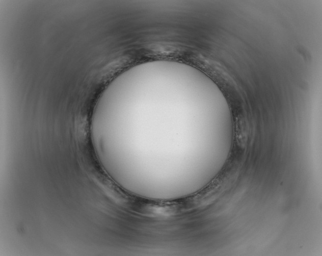 X0000112370563200909031933