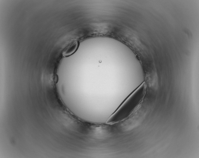 X0000112370564200909031933