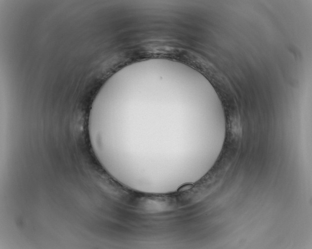 X0000112370567200909031934