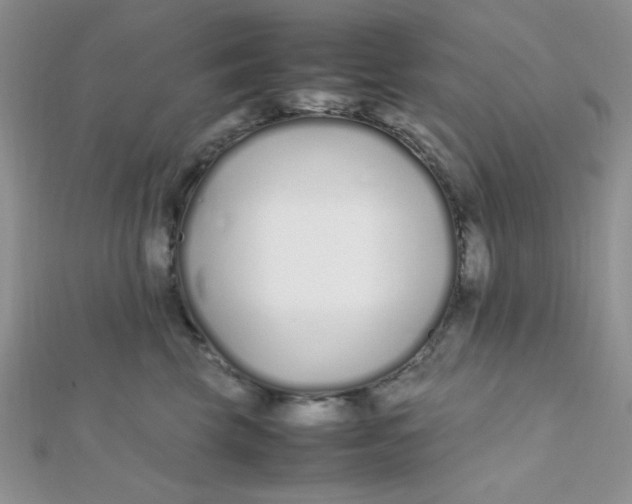 X0000112370569200909031934
