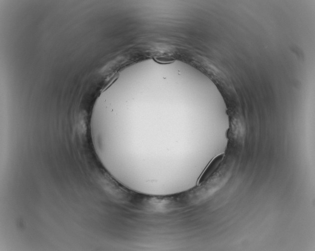X0000112370570200909031934