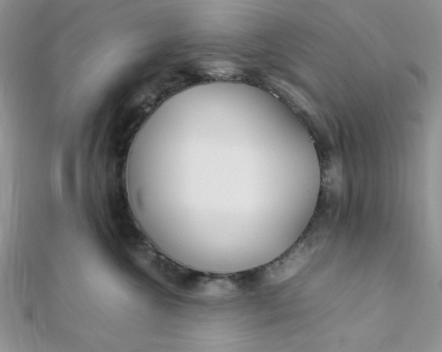 X0000112370572200909031934