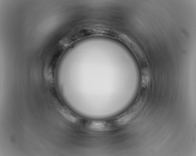 X0000112370573200909031934