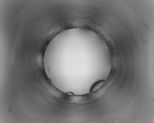 X0000112370575200909031934