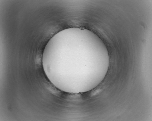 X0000112370576200909031934
