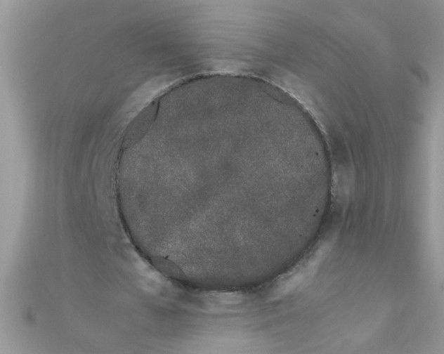 X0000112370577200909031933