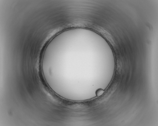 X0000112370578200909031933