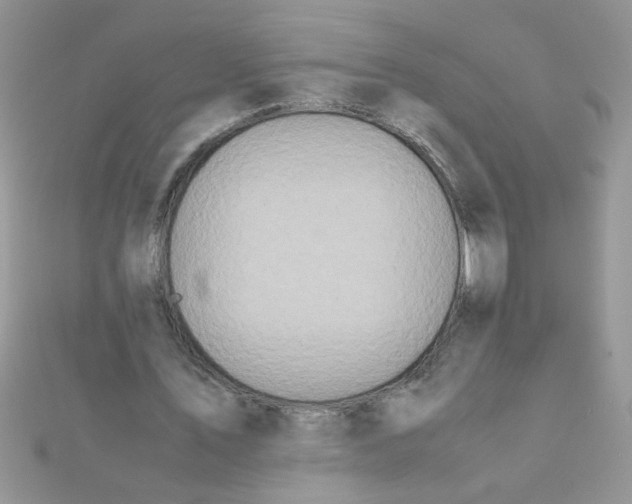 X0000112370579200909031933