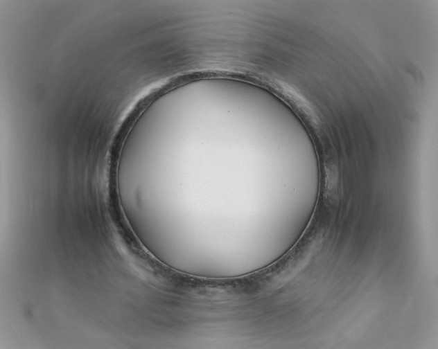 X0000112370580200909031933