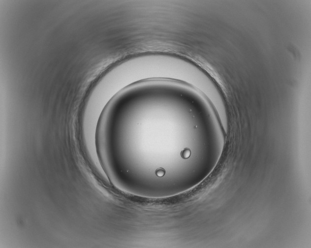 X0000112370581200909031933