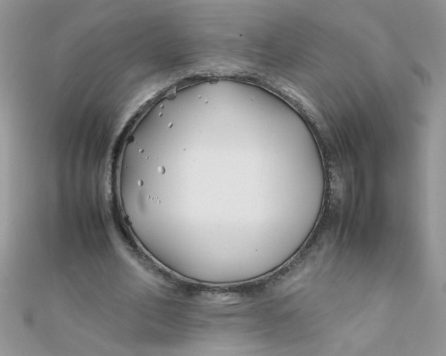 X0000112370582200909031933