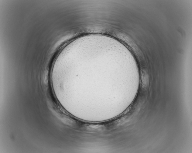 X0000112370583200909031933