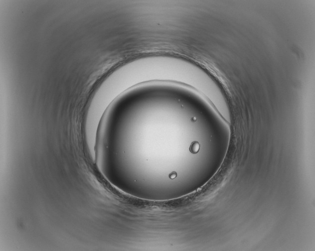 X0000112370585200909031933