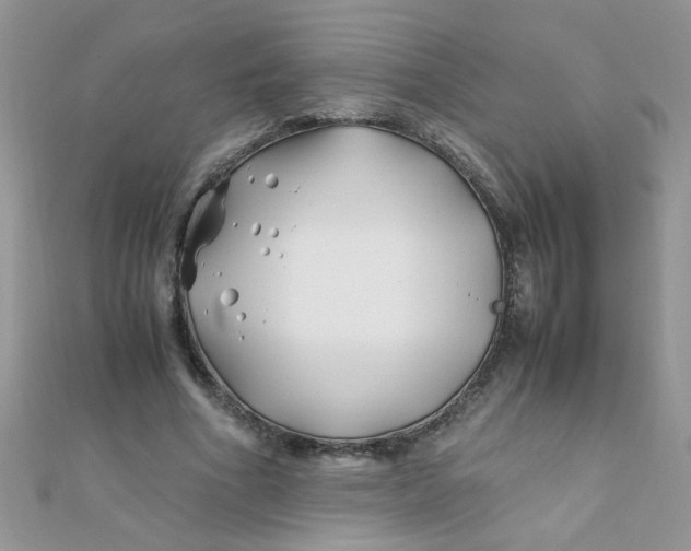 X0000112370586200909031933