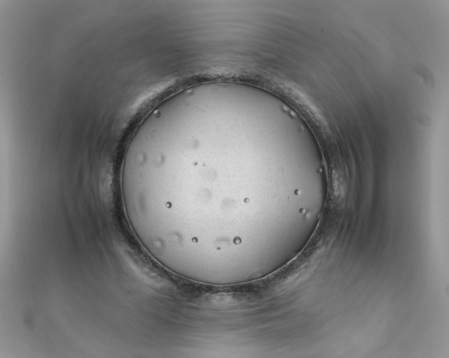 X0000112370588200909031933