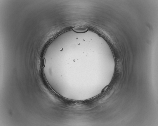 X0000112370589200909031933