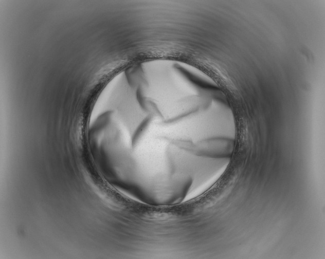 X0000112370590200909031933