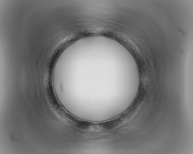 X0000112370591200909031933