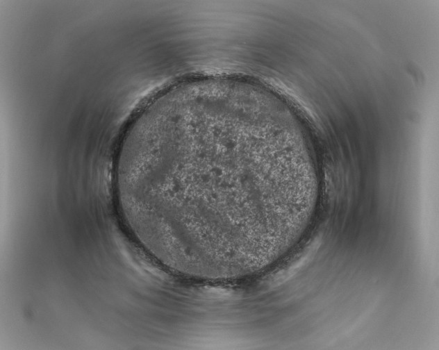 X0000112370592200909031933