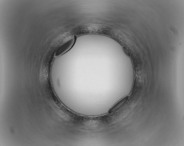 X0000112370593200909031933