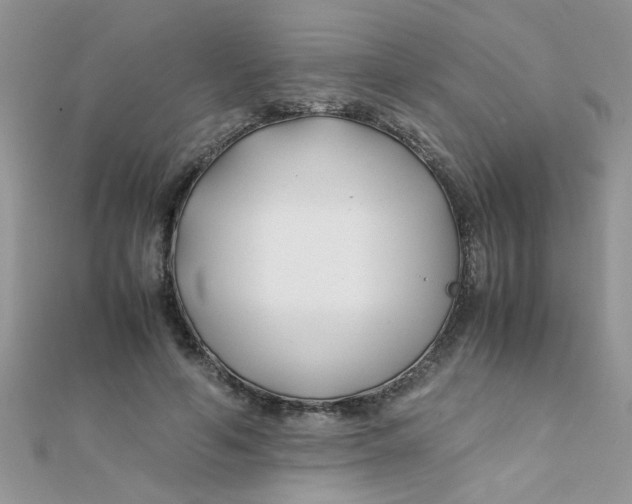 X0000112370594200909031933
