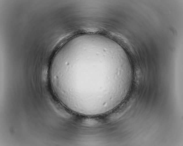 X0000112370596200909031933