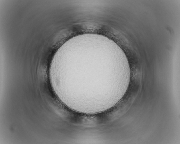 X0000112370599200909031933