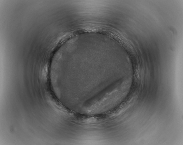 X0000112370600200909031933