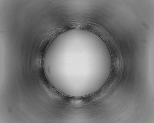 X0000112370602200909031933
