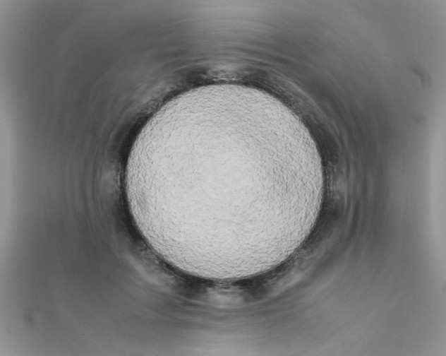 X0000112370603200909031933