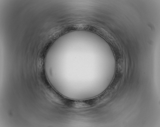 X0000112370605200909031933