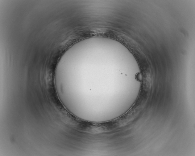 X0000112370608200909031933
