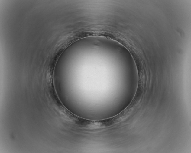 X0000112370609200909031933