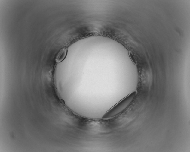 X0000112370611200909031933