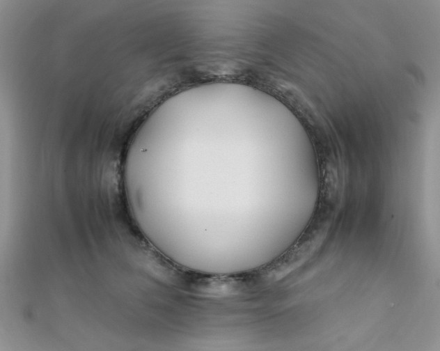 X0000112370612200909031933
