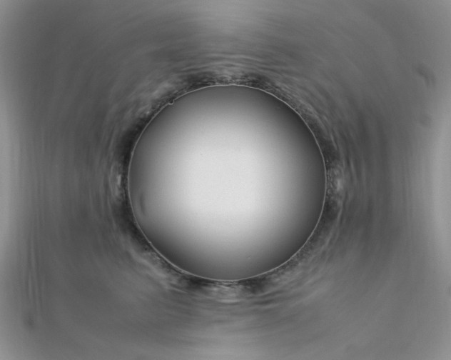 X0000112370615200909031933