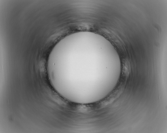 X0000112370616200909031933
