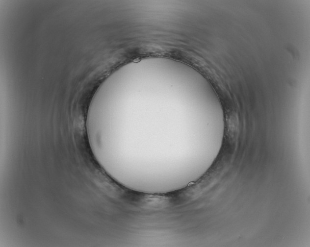 X0000112370617200909031933