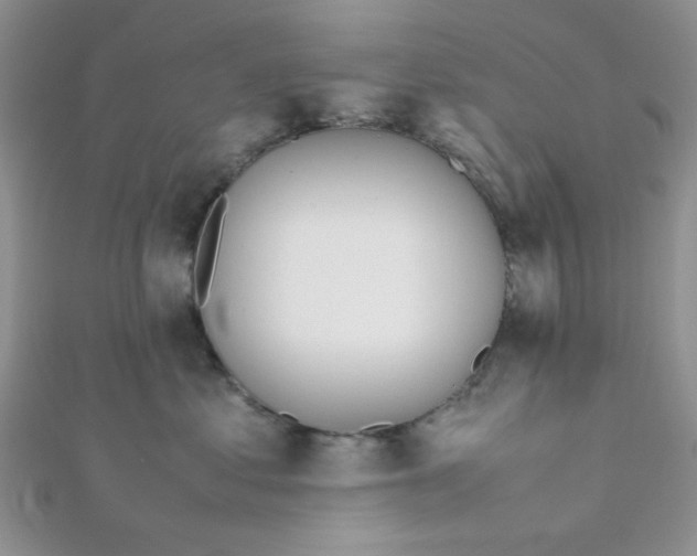 X0000112370621200909031932