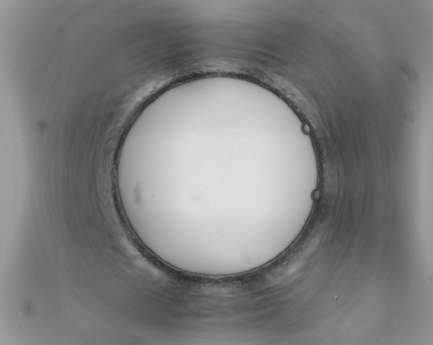 X0000112370625200909031932