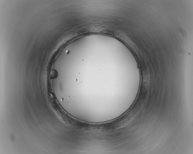 X0000112370626200909031932