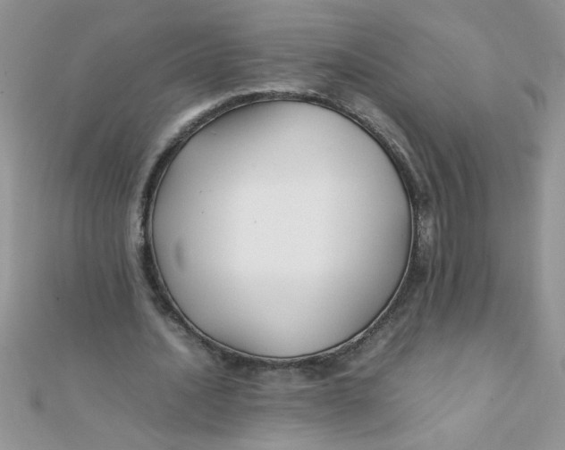 X0000112370628200909031932