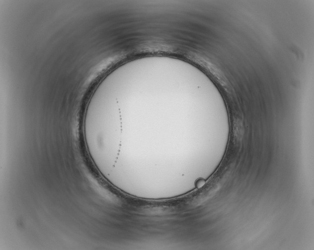 X0000112370629200909031932