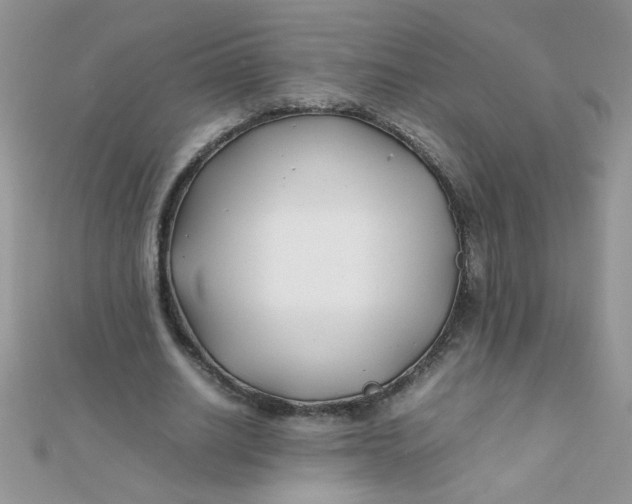 X0000112370630200909031932